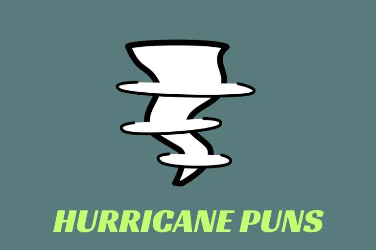 Hurricane Puns