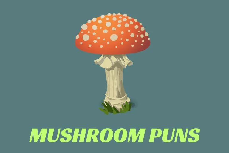 Mushroom Puns