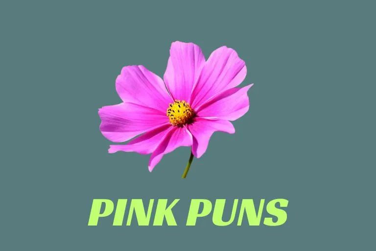 Pink Puns