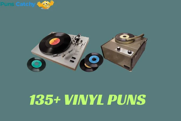 Vinyl Puns