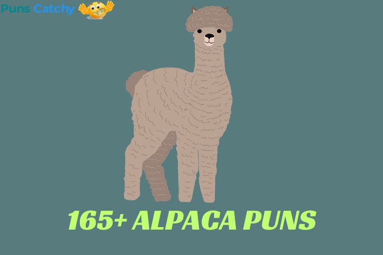 Alpaca Puns