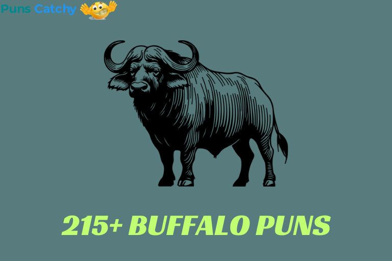 Buffalo Puns