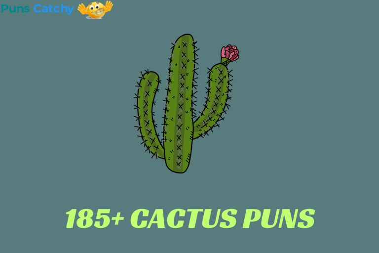 Cactus Puns