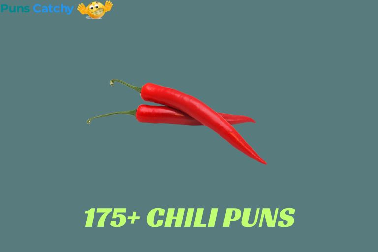 Chili Puns