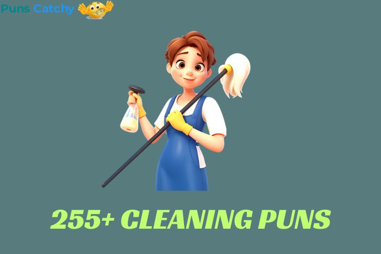 Cleaning Puns