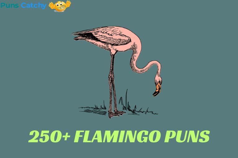 Flamingo Puns