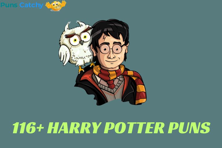 Harry Potter Puns