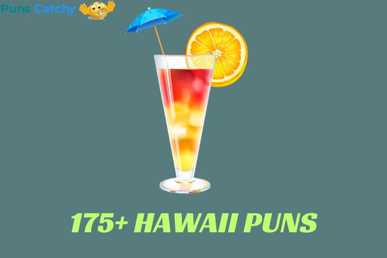 Hawaii Puns