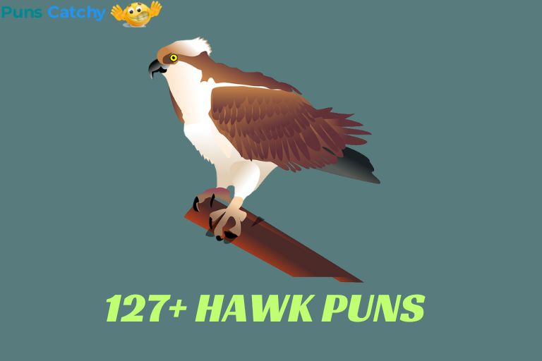 Hawk Puns