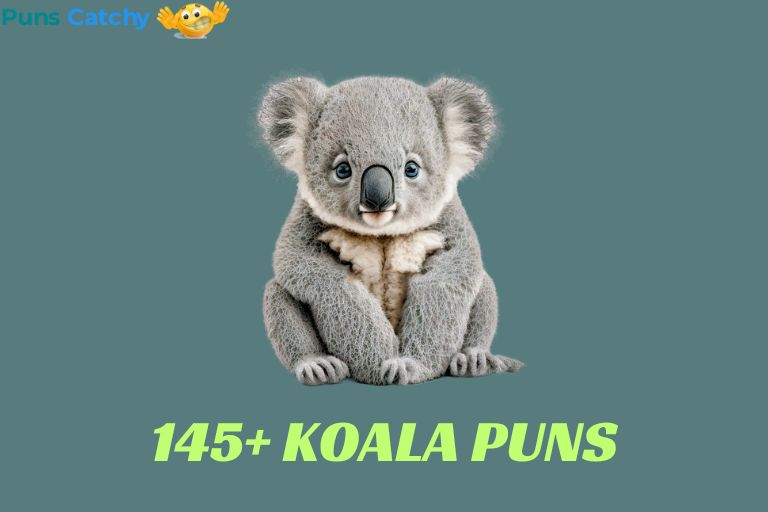 Koala Puns