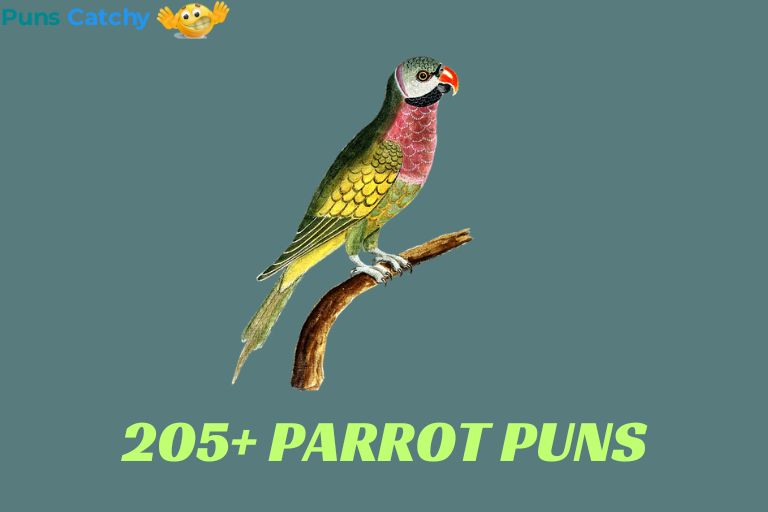 Parrot Puns