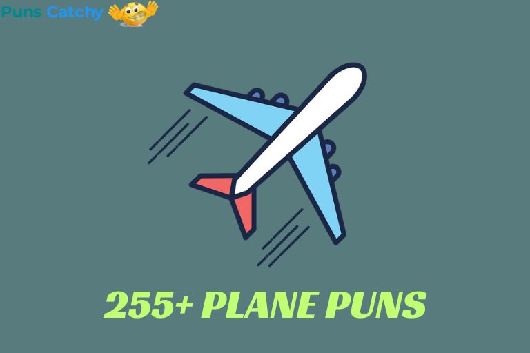 Plane Puns