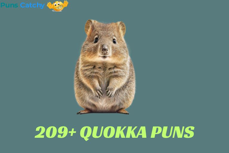 Quokka Puns