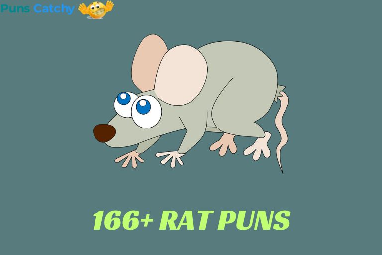 Rat Puns