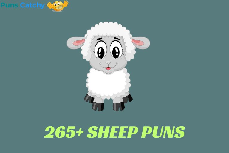 Sheep Puns