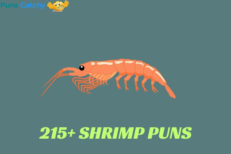 Shrimp Puns