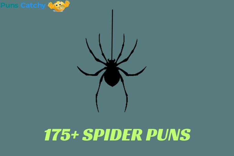 Spider Puns