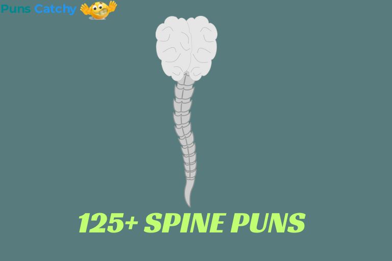 Spine Puns