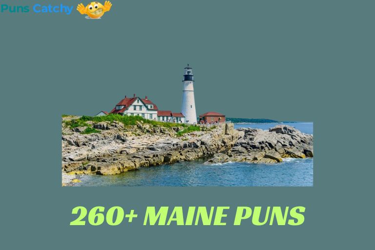 maine puns