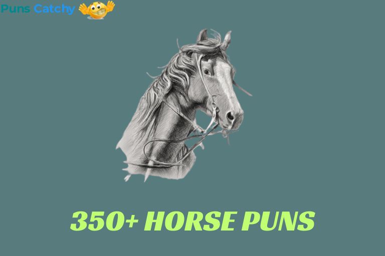 Horse Puns